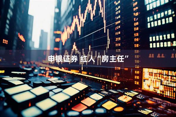 申银证券 红人“房主任”